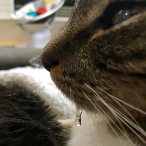 Meet your Posher, Breanne